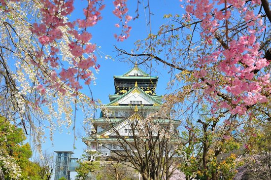 prosehat liburan ke jepang 1